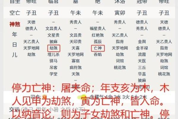 木命与相配命格的完美结合，探寻命理奥秘