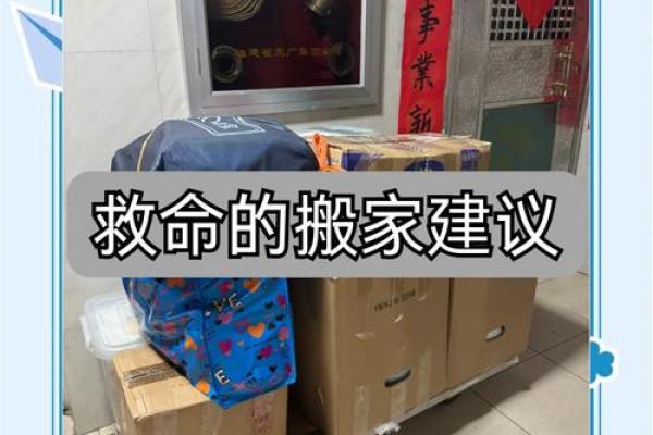 救人一命，赠送什么最合适？深度解读与实用建议