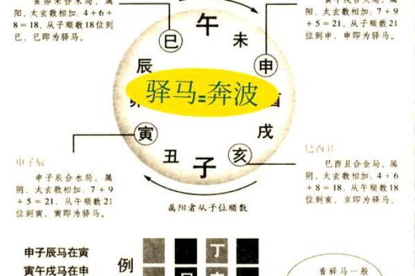 解析女农历四月马年命理：追寻属于她的命运轨迹