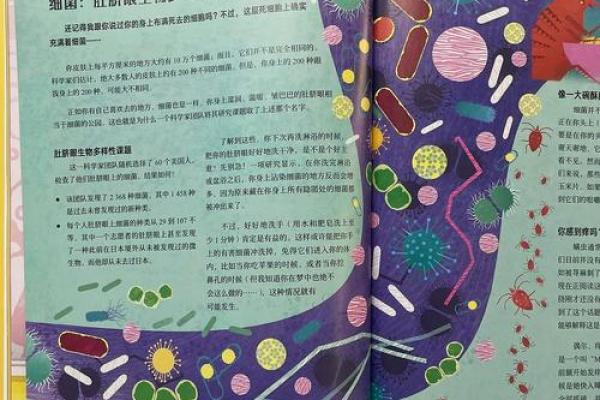 九六年十一月初三的命运之旅：探索生命的奥秘与意义