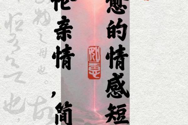 命里亲情淡薄，如何释怀与珍惜家人情感？