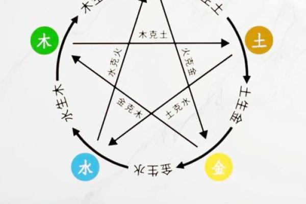 探索木命的五行命理：与之相生相克的命格解析