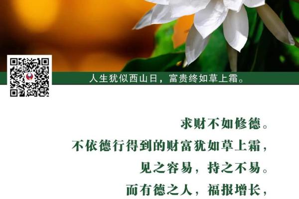 九月出生的人易拥有的命运与潜力探索