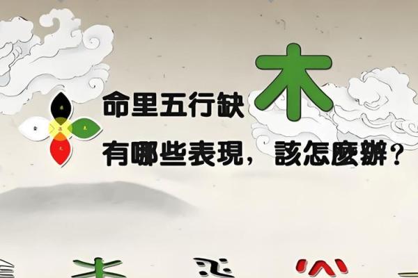 木命之人最适合从事的职业与生活建议探讨