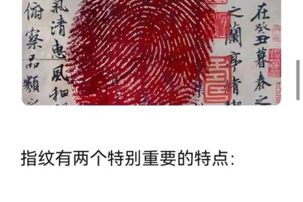 探秘指纹中的命运密码：三螺纹的奥秘与解析