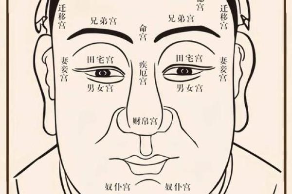 李若宁的命理解析：五行属性对人生命运的深远影响