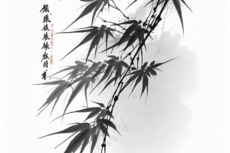 葵水命与各命结合,探寻互补之道与人生智慧