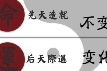 探索零命与九命的深意：命运的双重面纱