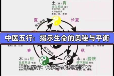 命理行业的五行属性揭秘：探寻命运之中的奥秘与智慧