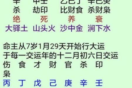 命理中“金水太旺”的深层含义与调和之道