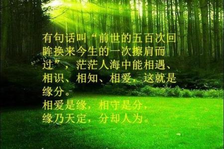 命与缘：那首歌的深刻含义与人生哲理探讨