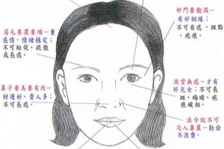 脸上的天仓底是什么命？解析面相背后的秘密！