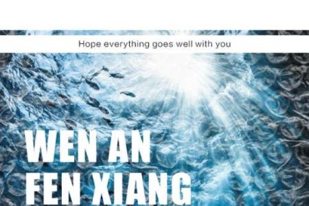 命向：探寻人生航向的智慧与启示