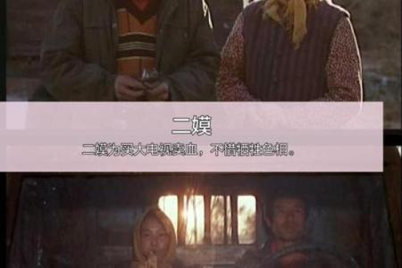 看电视爱哭的人:情感细腻与生活的独特命运