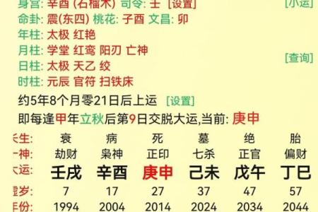 男命流年帝旺之解读与影响解析