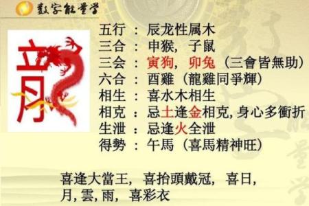 探索命卜合一:生肖背后的深刻哲学与生活智慧
