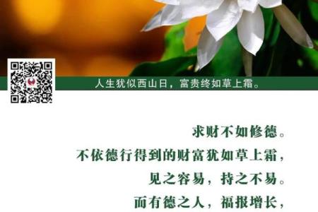 九月出生的人易拥有的命运与潜力探索