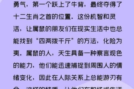 木鼠命人适合从事哪些职业?探索个性与职业的完美结合!