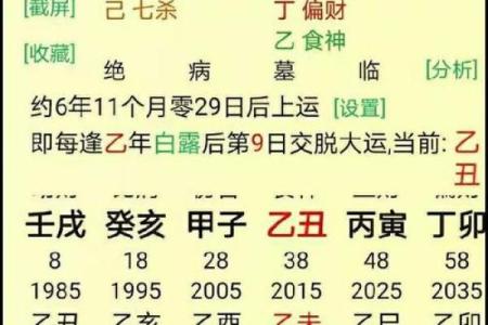 命局显富不显贵——揭示阴阳五行背后的财富秘密