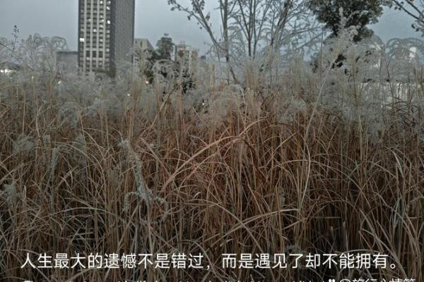 探秘命犯再嫁：了解命理背后的情感纠葛与抉择