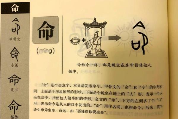 探秘名字31画的命运解析：你的姓名隐藏了什么秘密？