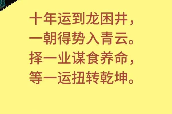 命里有几条龙，揭示你人生的潜能与机遇！
