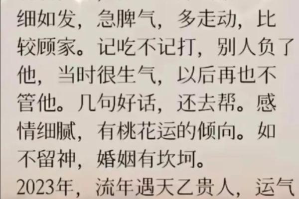 九七年属鼠人的命理解析：一生的机遇与挑战