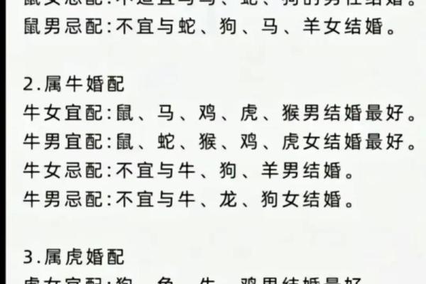 九七年属鼠人的命理解析：一生的机遇与挑战