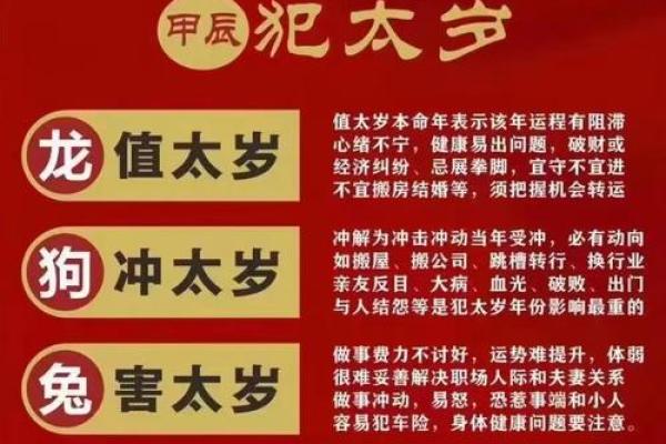 揭秘命犯太岁：你不知道的生肖与运势奥秘
