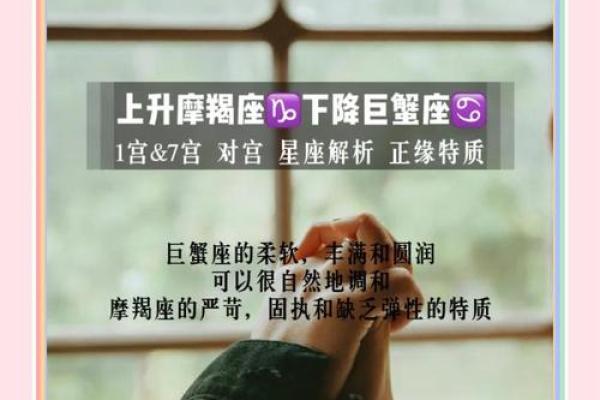 揭秘命里无正缘之命：寻找爱情的真相与启示