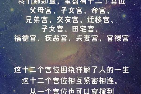 揭开女命八字的神秘面纱：命主象征与命运探索