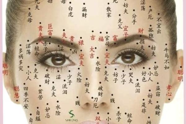 命好的人面部特征解析：你脸上的秘密揭示了你的命运