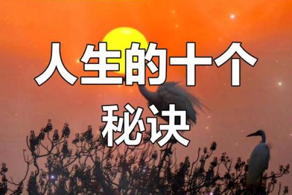 女命有学堂：智慧与人生的契机