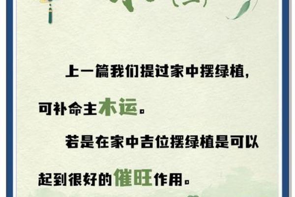 命里缺木的人适合选择的手机推荐与选购指南