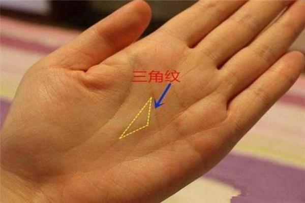 揭秘马云的命理之谜：木命还是火命？一起探讨他的成功密码！