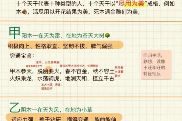 戌土男命：隐秘中的坚韧与智慧，探索命理之美
