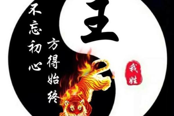 古代王者风范：揭秘王者的名字与象征意义