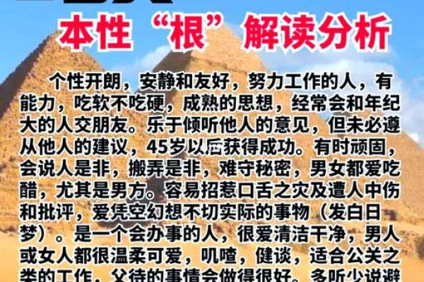 命运的密码：解析那些命不错的人背后的秘密
