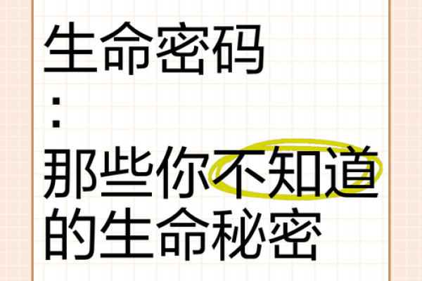 命运的密码：解析那些命不错的人背后的秘密
