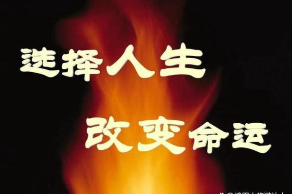 男孩命运的奥秘：9个螺与人生选择的联系