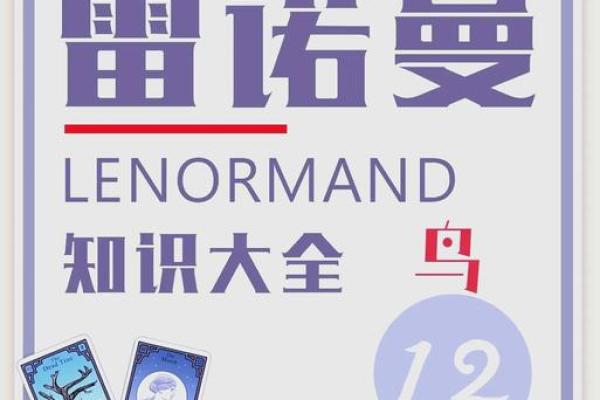 解密命格枭鸟：它的含义与命理影响