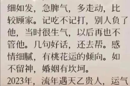 九七年属鼠人的命理解析：一生的机遇与挑战