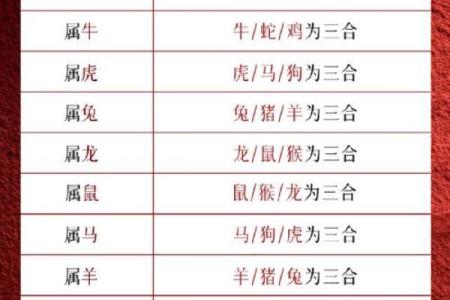 揭秘命犯太岁：你不知道的生肖与运势奥秘