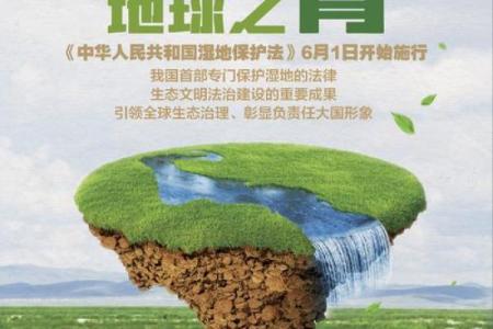 探索“立天养命之居”的智慧:人与自然和谐共生的家园