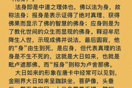 解读命下、慈下与尊下的深刻含义与启示
