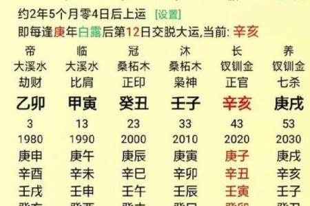 女命正印格身弱格解读与实际运势分析