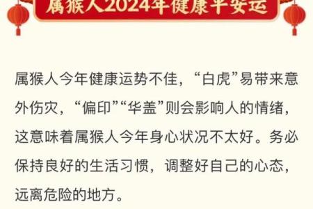 木命与最佳搭配命理解析,助你人生顺风顺水!