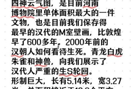 女命青龙命的深层解读与人生启示