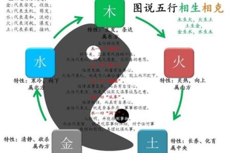 探秘命格:从五行看透你的命运与人生轨迹