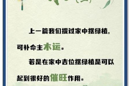 命里缺木的人适合选择的手机推荐与选购指南